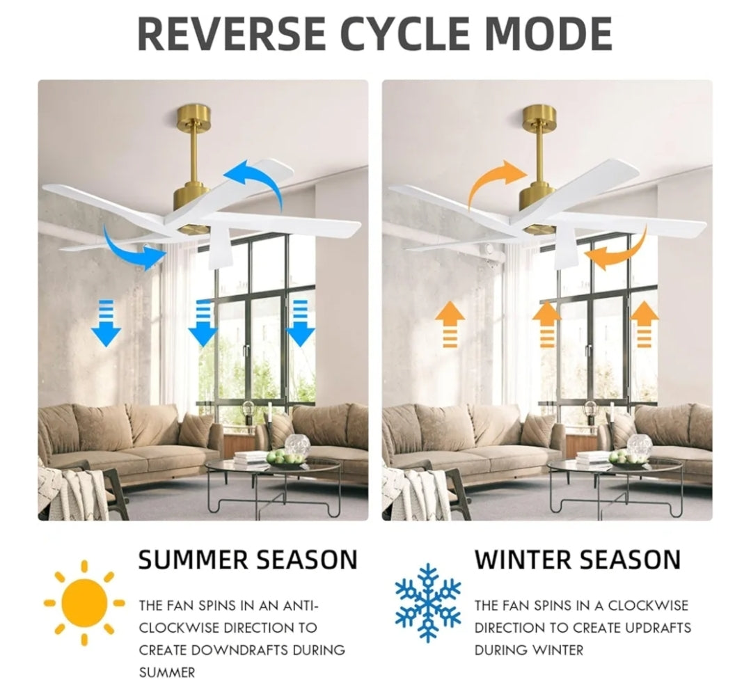WINGBO 64" ABS DC Ceiling Fan No Light, 5 Blade ABS Plastic Ceiling Fan with Remote, 6-Speed Reversible DC Motor, Ceiling Fans without Light for Kitchen Bedroom Living Room, Brass and White