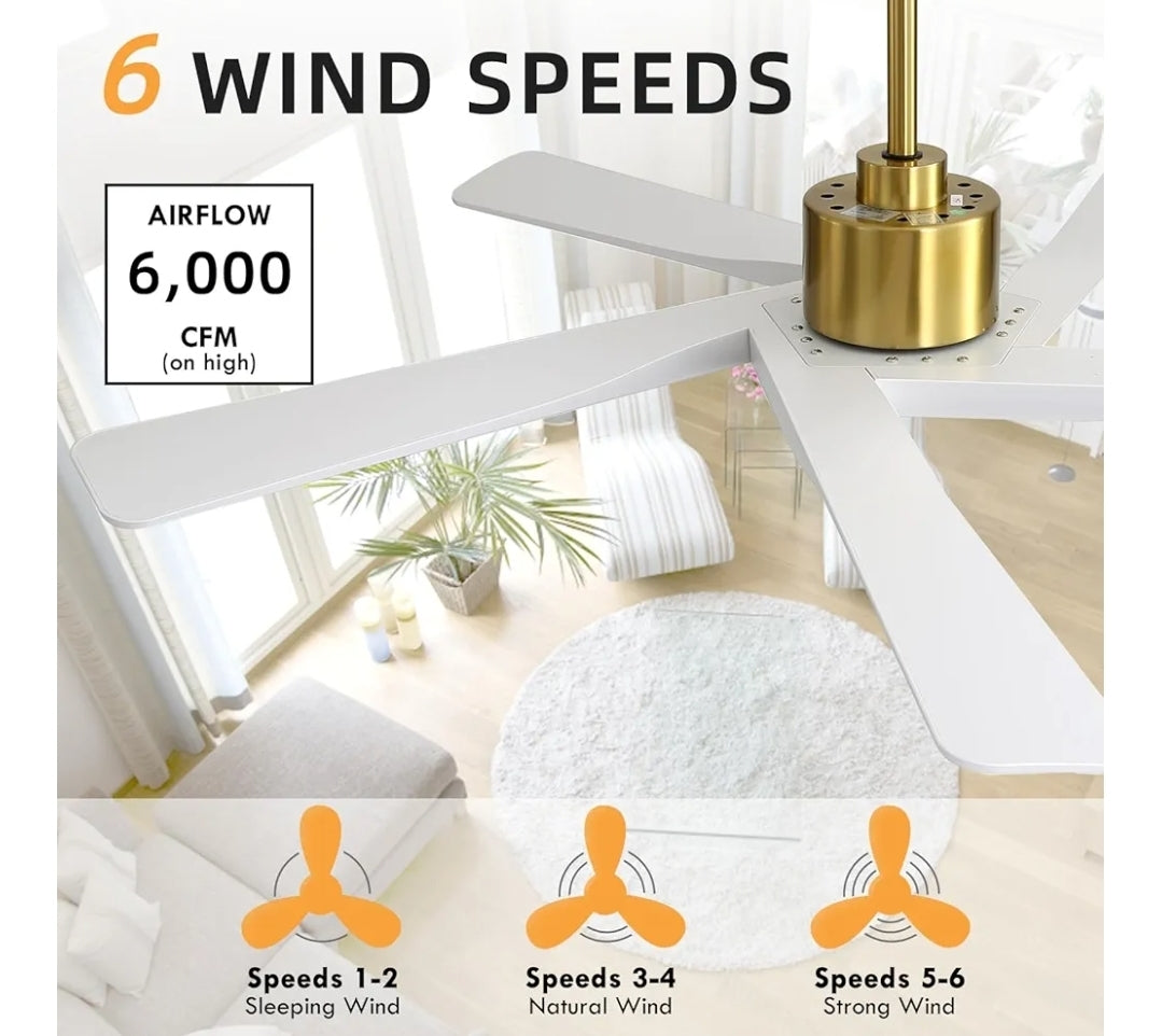 WINGBO 64" ABS DC Ceiling Fan No Light, 5 Blade ABS Plastic Ceiling Fan with Remote, 6-Speed Reversible DC Motor, Ceiling Fans without Light for Kitchen Bedroom Living Room, Brass and White